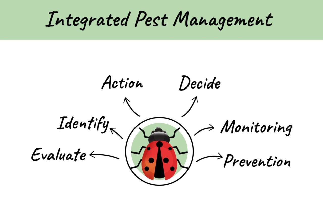 IPM Nedir ?